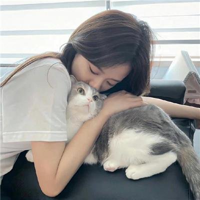 凤舞龙翔
